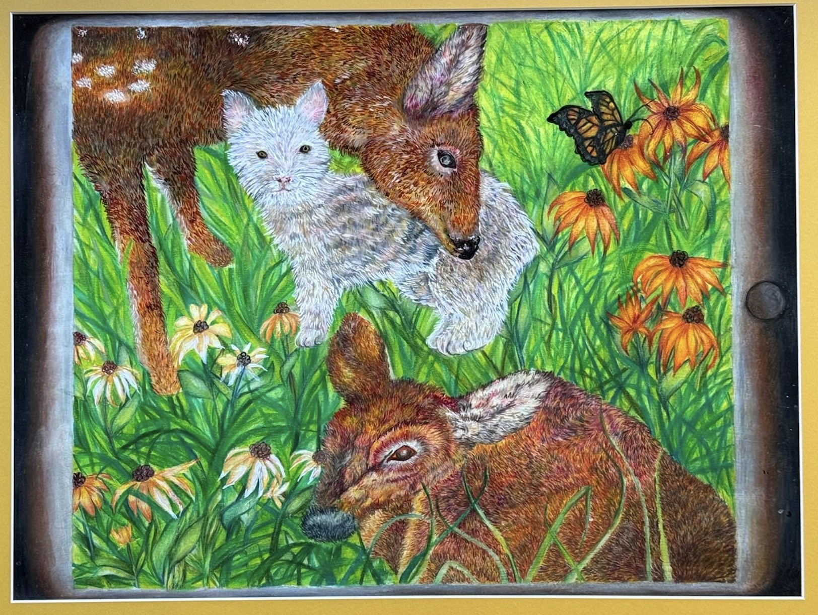 Image 2244