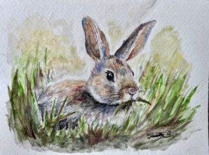 Image 10119