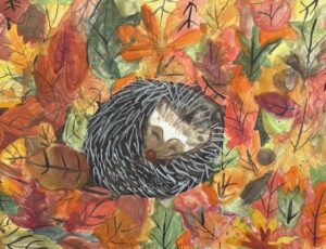 Image 10391