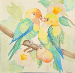 Image 16527