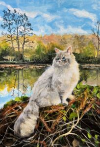 Image 16469