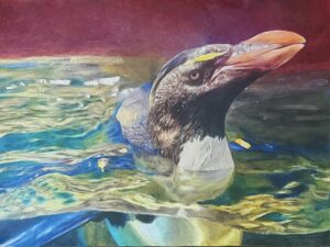 Image 15647