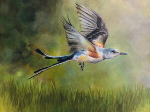 Image 15902