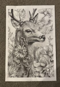 Image 16414