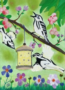 Image 16074