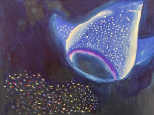 Image 16636